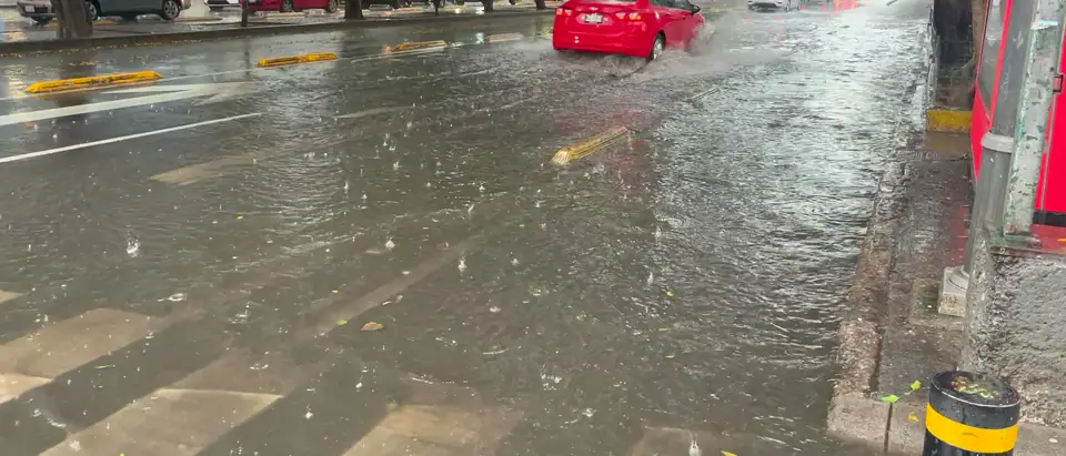 Rain water running in a wide sheet across a flooded tree-lined avenue