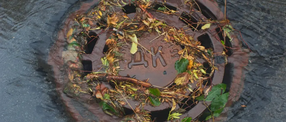 A storm drain cover under rain water with leaves caught in it
