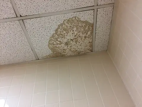 A brown water stain on a ceiling tile above a tiled wall